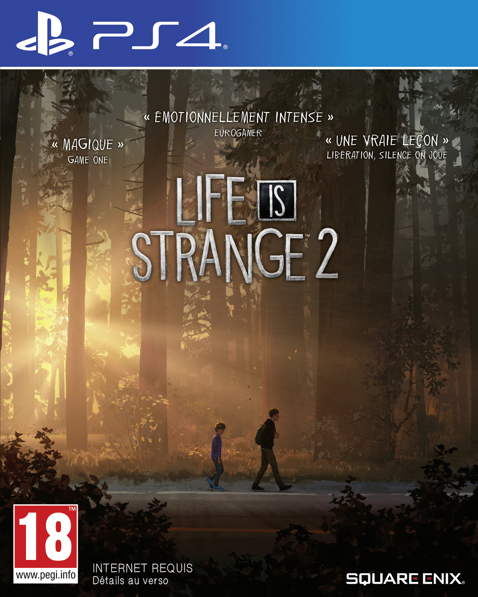 Игра Life is Strange 2 (русские субтитры) (PS4)9187