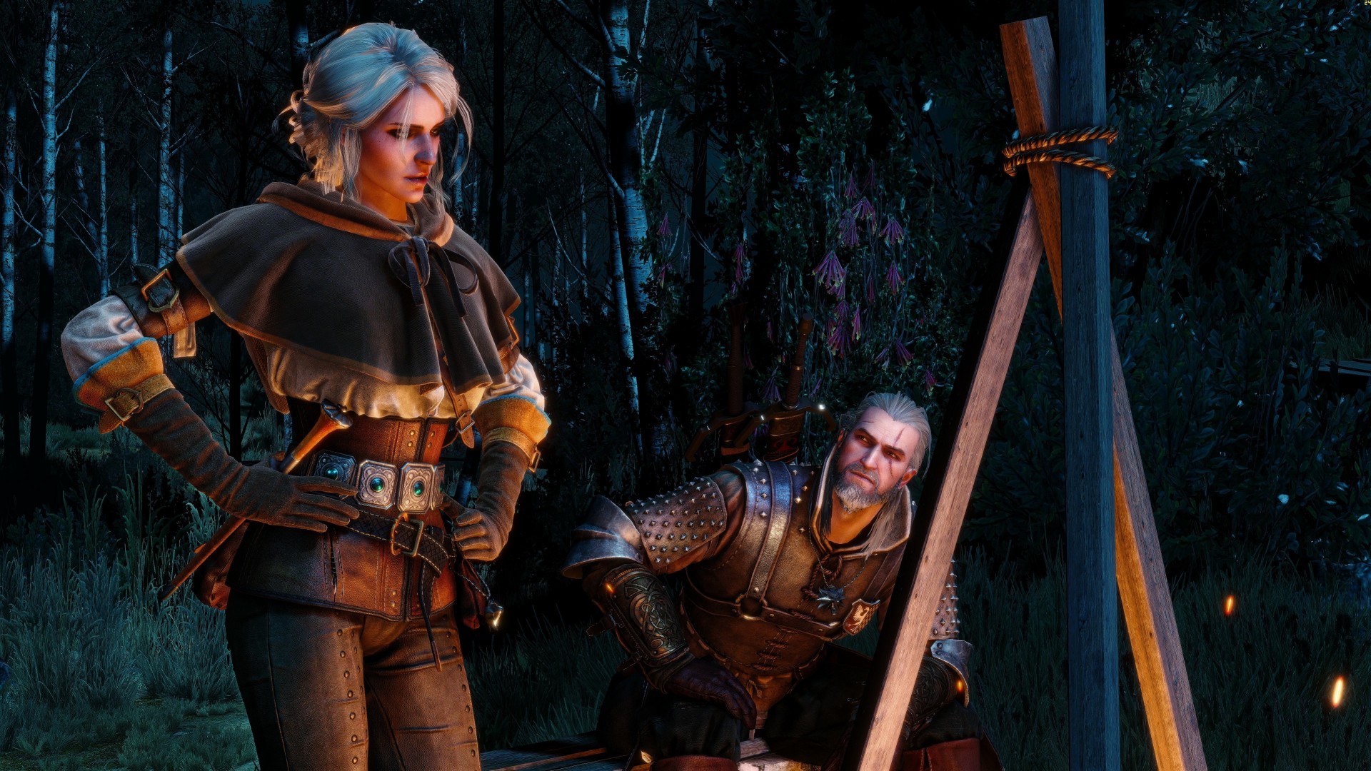 The witcher wild hunt steam фото 114