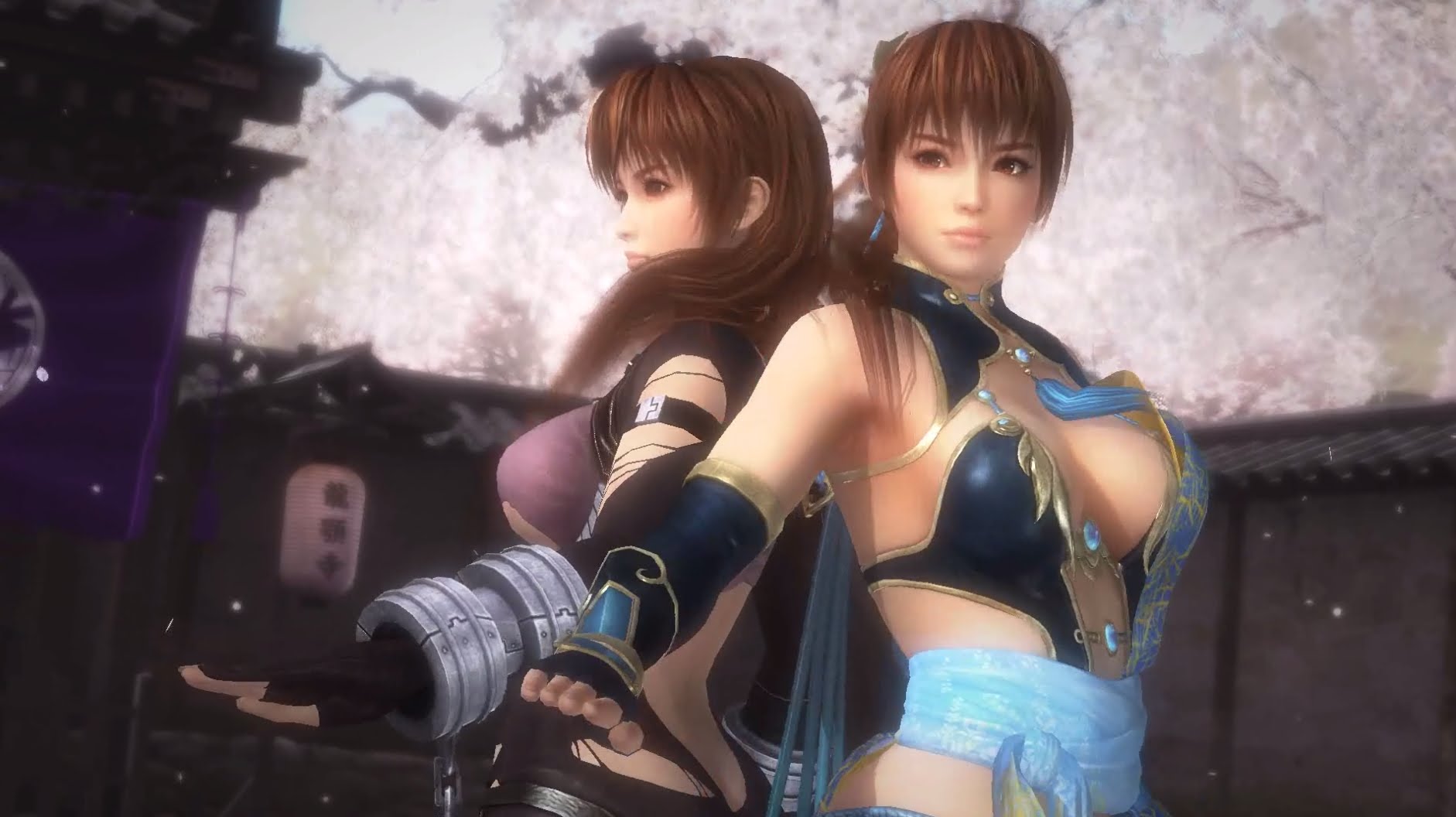 Dead or alive 5 last round стим фото 7