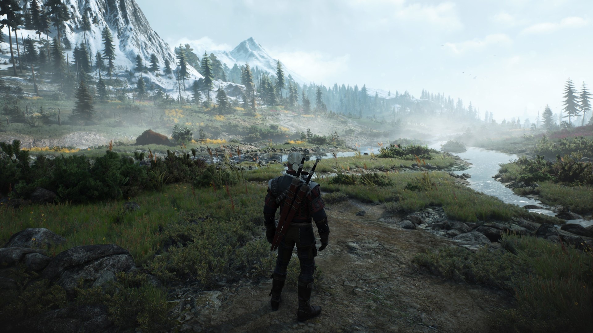 The witcher 3 ps5 fps фото 44