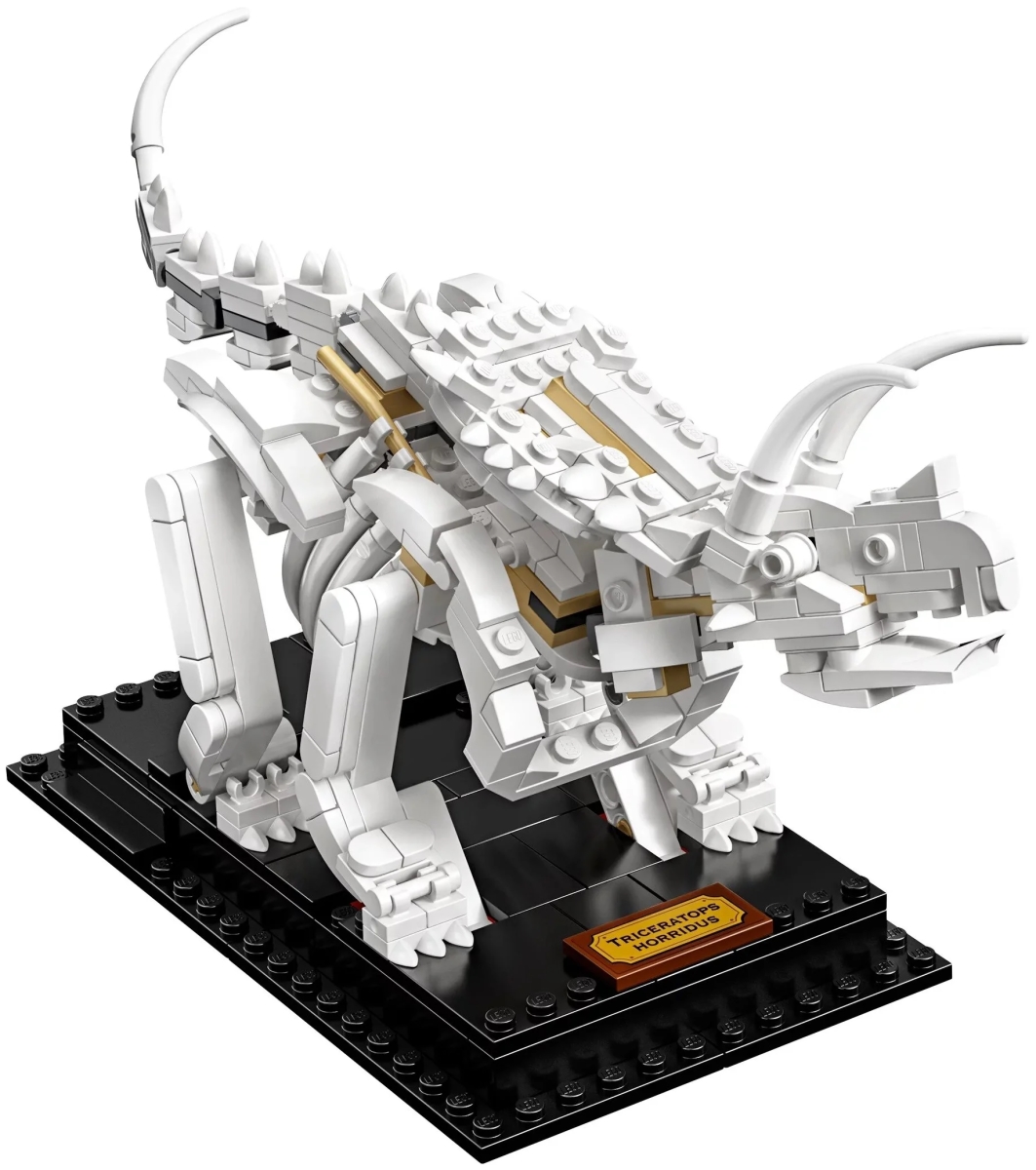 21320 lego hot sale